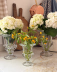 The Antoinette Vase
