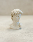 David Plaster Bust