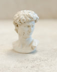 David Plaster Bust