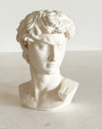 David Plaster Bust