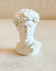 David Plaster Bust