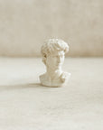 David Plaster Bust