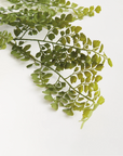 Faux Maidenahair Fern Stem
