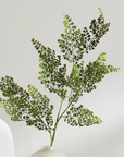 Faux Maidenahair Fern Stem