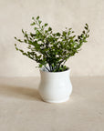 Faux Maidenhair Fern, 2.5"