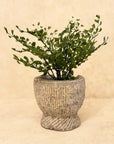 Faux Maidenhair Fern, 2.5"