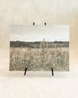 Field of Flowers Art Board, 11x14