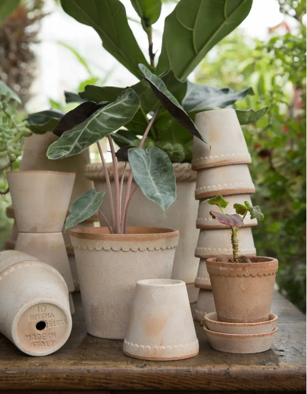 scalloped planter pot Helena Scalloped Pot – Cottage Home