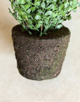 Faux Maidenhair Fern, Drop in 18"