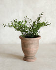 Mini Footed Terracotta Pots