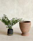 Mini Footed Terracotta Pots