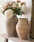 Peony Bundle, Set of 3 Stems in Cream