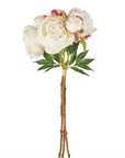 Peony Bundle, Set of 3 Stems in Cream