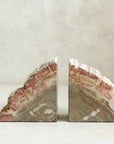 Petrified Wood Book Ends