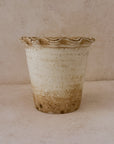 Terracotta Planter with Ruffled Edge