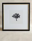 Tree Framed Art, 15x15