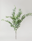 Faux Italian Ruscus Spray - 36"