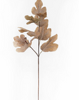 Fall Leafy Stem