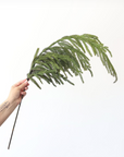 Real Touch Norfolk Pine Branch - 33"