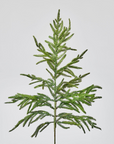 Real Touch Norfolk Pine Branch - 33"
