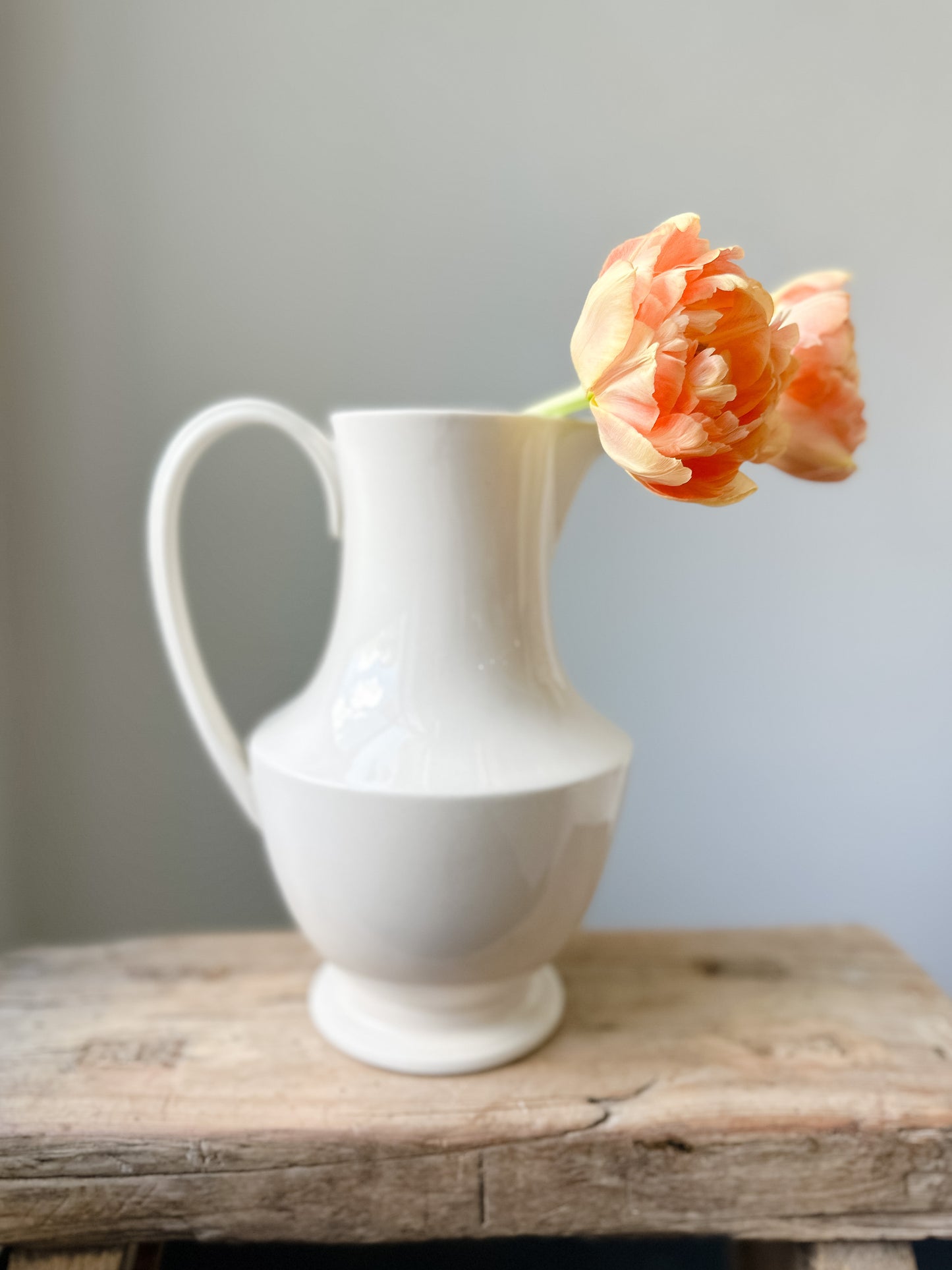 Toulouse Medium Pitcher