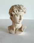 David Plaster Bust