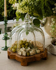 Glass Quatrefoil Dome