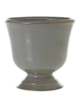 Ava Compote