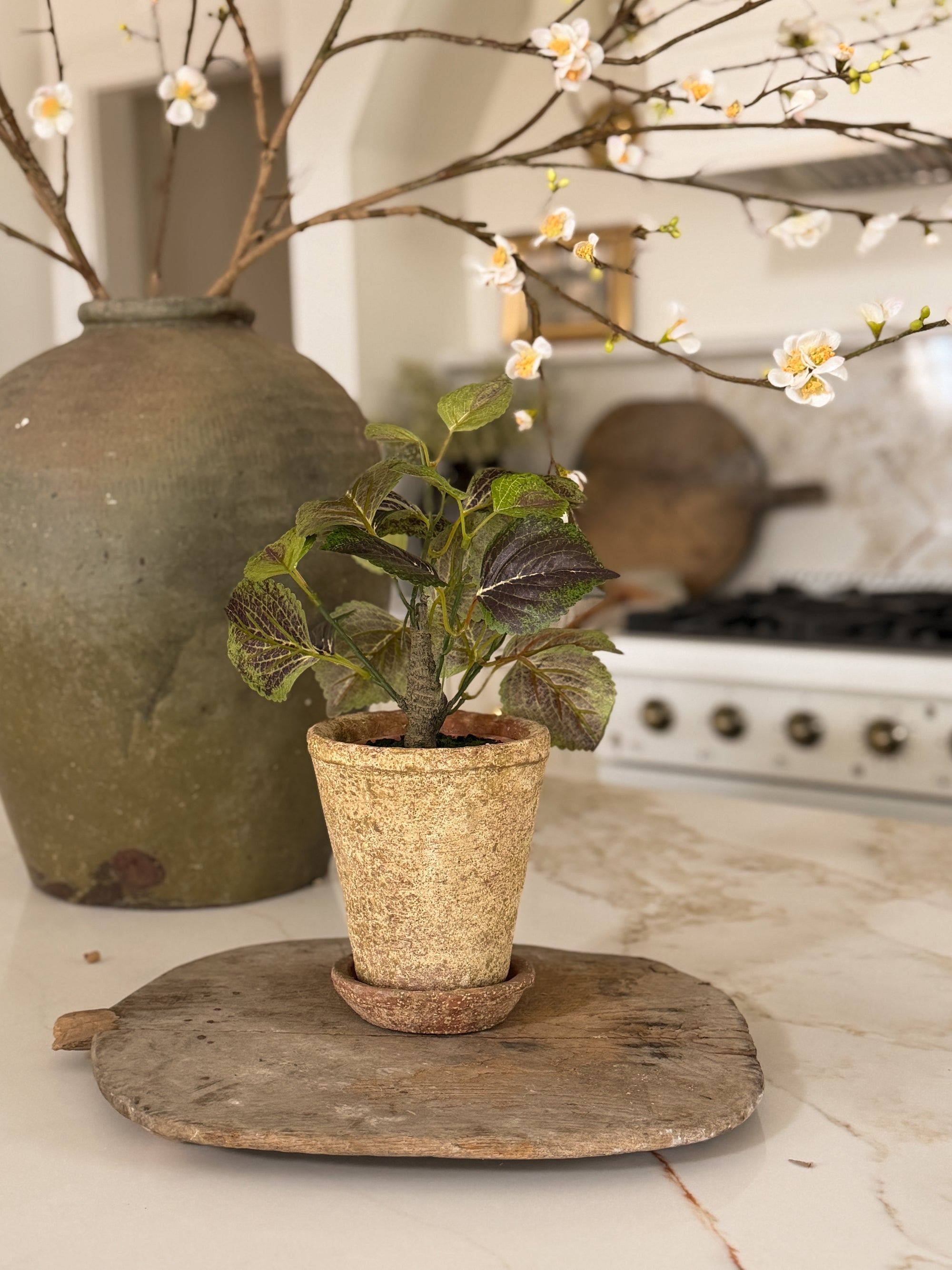 Aged Terracotta Planters