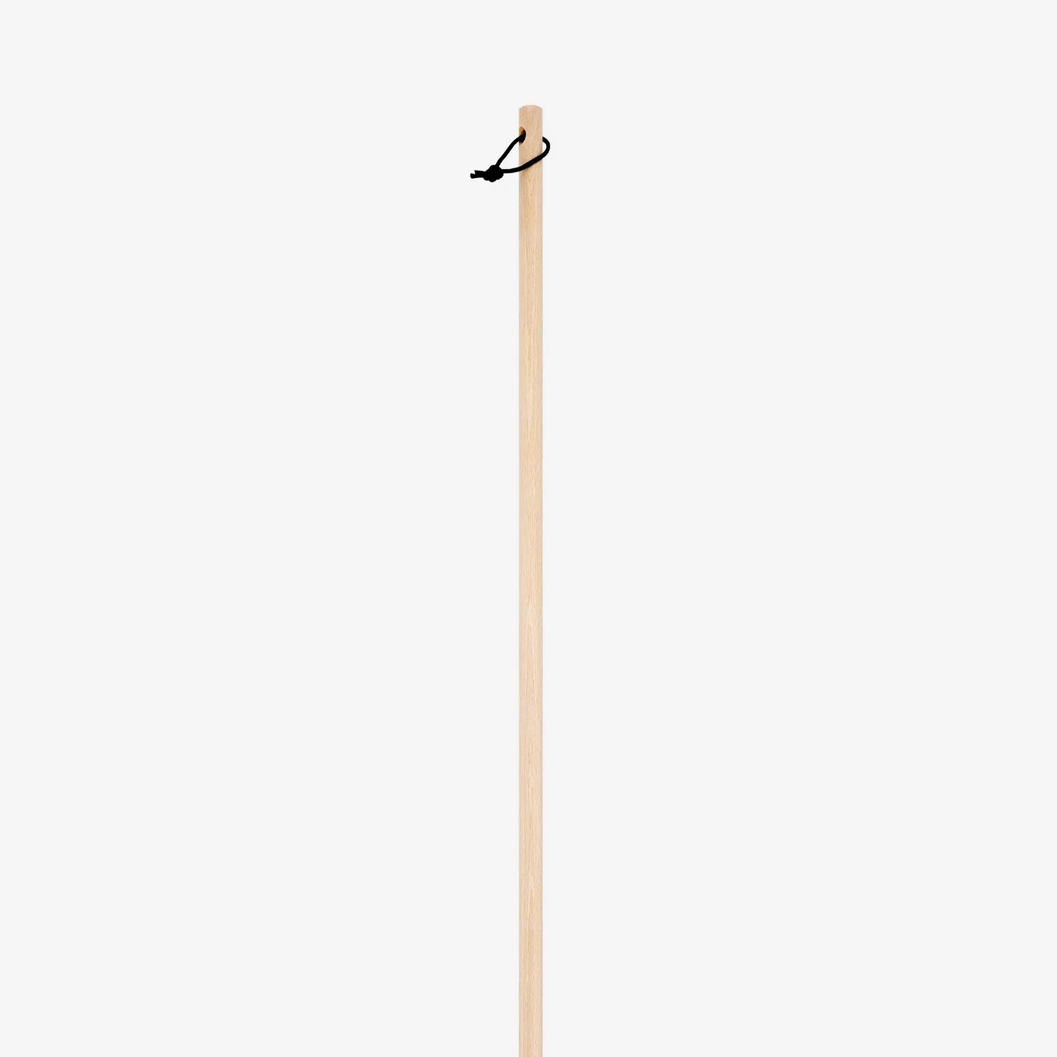 Broom &amp; Handle Set in Beech Wood