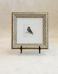 Black Crow, 9x9
