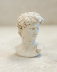 David Plaster Bust