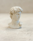 David Plaster Bust