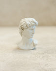 David Plaster Bust