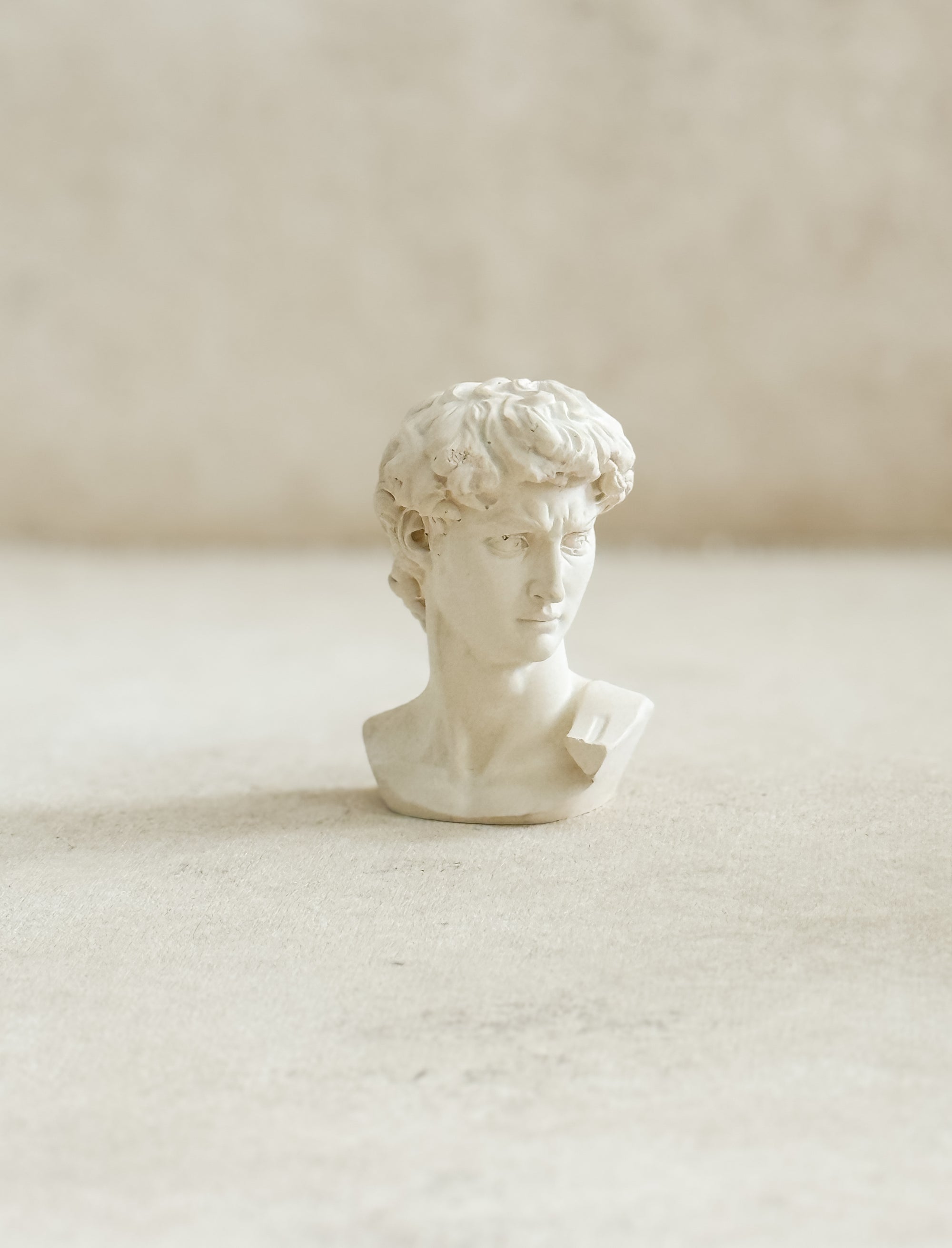 David Plaster Bust