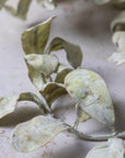 Faux Arched Eucalyptus Stems