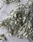 Faux Arched Eucalyptus Stems