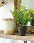 Faux Maidenhair Fern, Drop in 15"