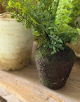 Faux Maidenhair Fern, Drop in 15"