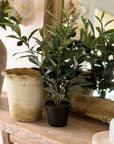 Faux Olive Plant, 16" and UV Protected