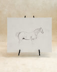 Horse Sketch Art Board, 11x14