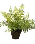 Faux Maidenhair Fern, Drop in 15"