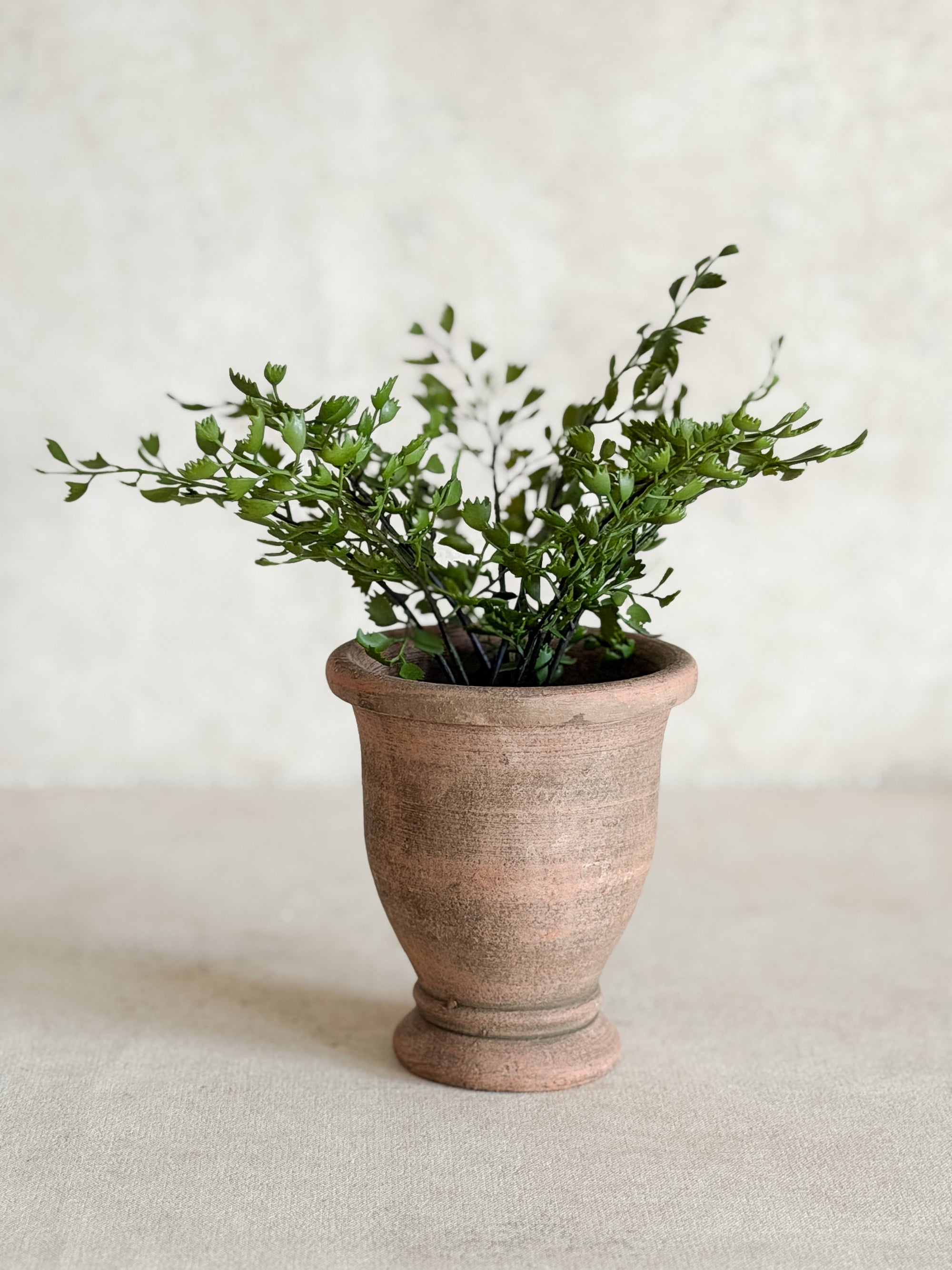 Mini Footed Terracotta Pots