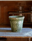 The Mosswood Pot