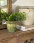 The Mosswood Pot
