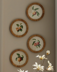 Peach Round Petite Prints, Set of 4