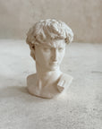 David Plaster Bust