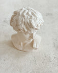 David Plaster Bust