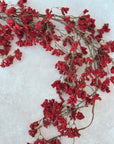 Red Mini Berry Hanging Stem