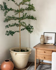 7’ Faux Shady Lady Tree